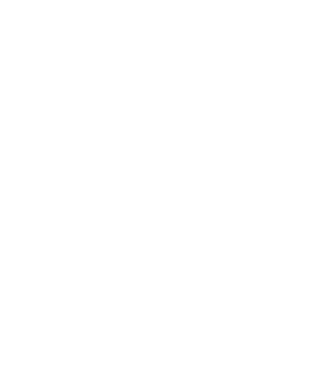 logo-patia-white