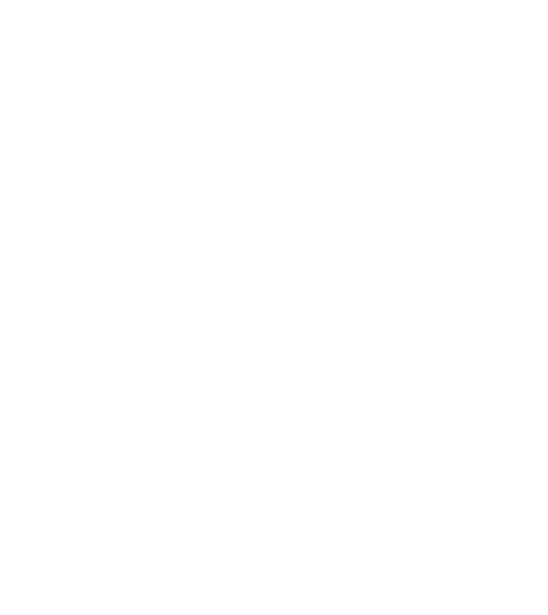 logo-patia-white